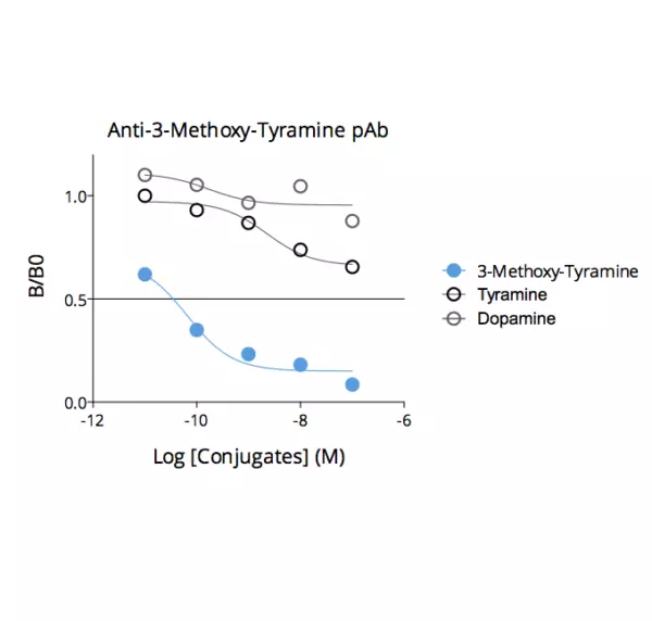 Competitive ELISA demonstrates that low amounts of 3-Methoxy-Tyramine conjugate are required to abolish antigen-antibody reaction (high affinity), while rising concentrations of 3-Methoxy-Tyramine competitors Tyramine or Dopamine do not affect reaction (high specificity).