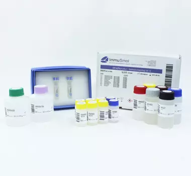 The trial pack special offer consists of 1 STAINperfect immunostaining kit A and one antibody.