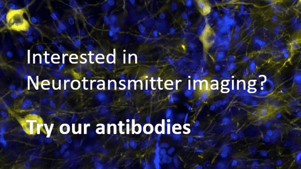 Validated antibodies cited in many recent publications