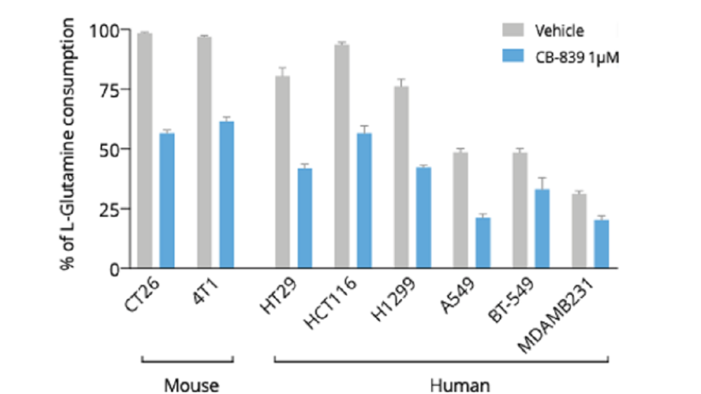 New L-Glutamine ELISA as tool to address metabolic features in cell culture supernatants