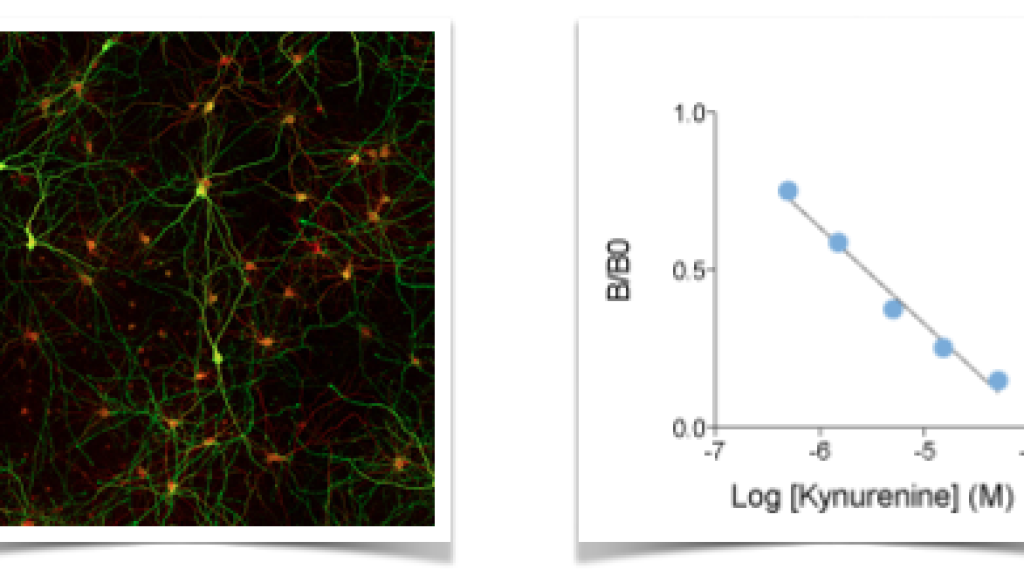 50% OFF your 3rd product ! Antibodies and ELISA kits