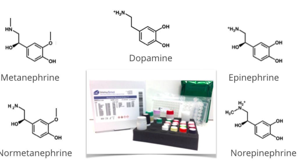 Product highlight and special offer - 20% Off on Catecholamine ELISA kits