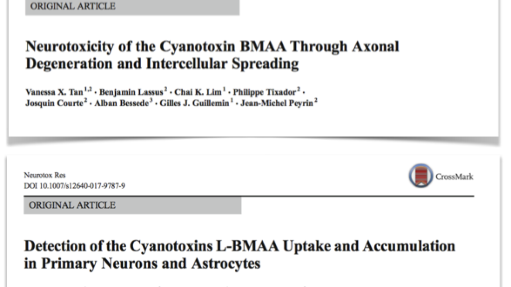 ImmuSmol highlighted in two recent scientific publications!