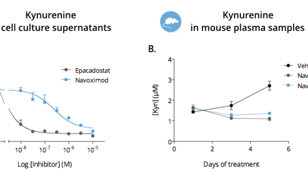 Effect of IDO1 inhibition on Kynurenine levels measured by ELISA